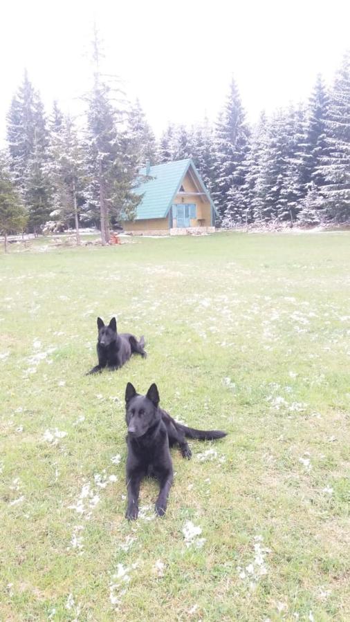 Eco Village Podgora Household Kaljevic Žabljak Dış mekan fotoğraf
