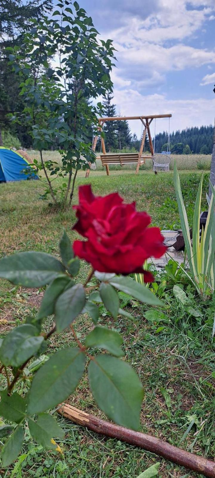 Eco Village Podgora Household Kaljevic Žabljak Dış mekan fotoğraf